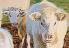 Vaches - pastels