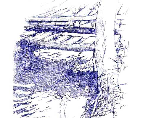 c06