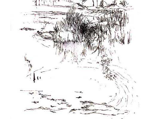 c08