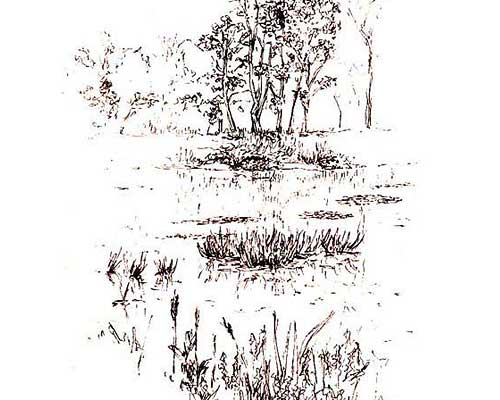 c09