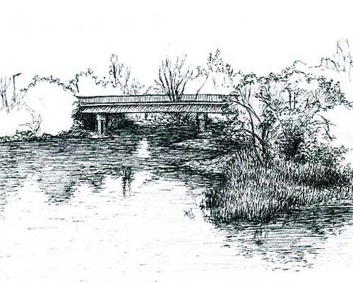 c15