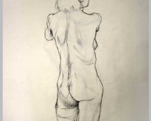 nu81